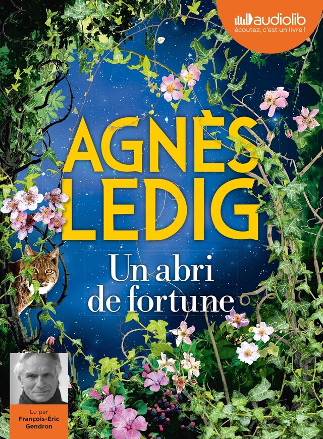Un abri de fortune - Agnès Ledig - Audiolib